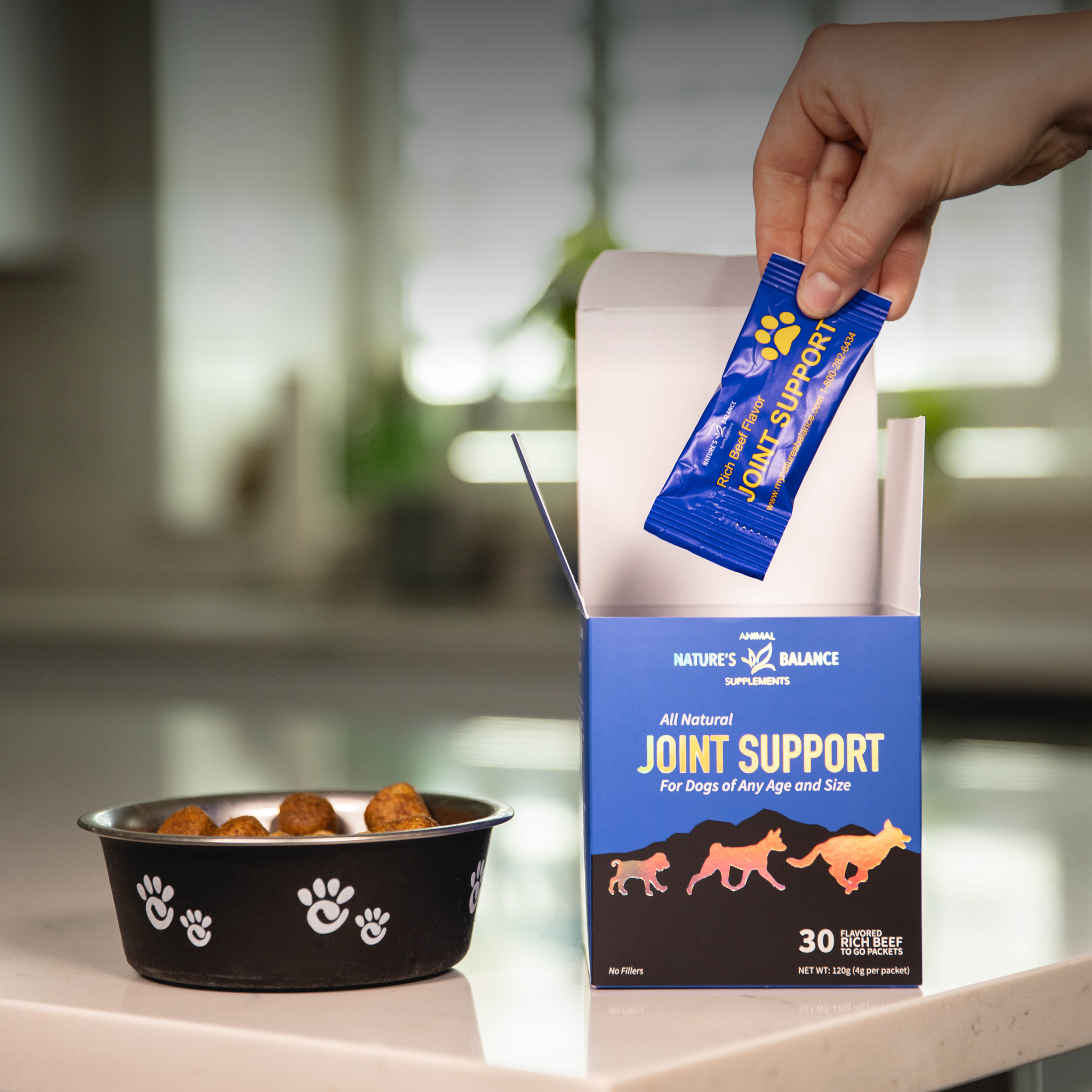 Natural Solutions For Dog Joint Health