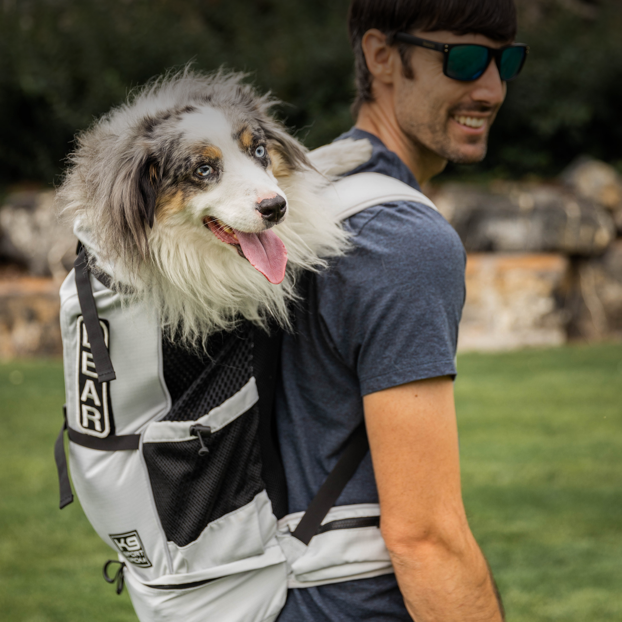 Knavigate Dog Carrier