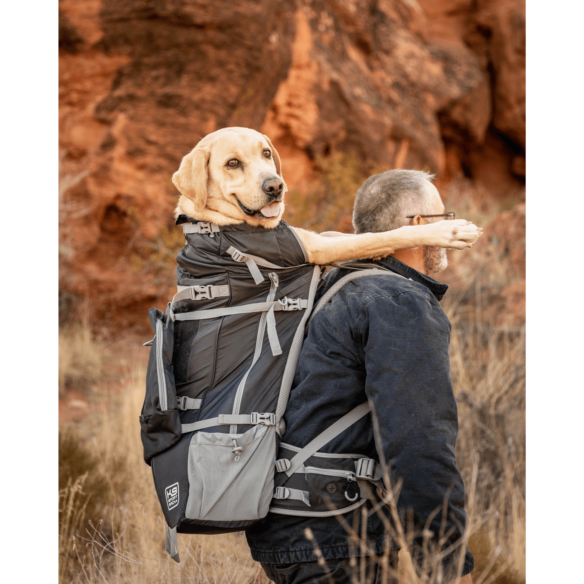 Klearance Rover 2 Golden Retriever
