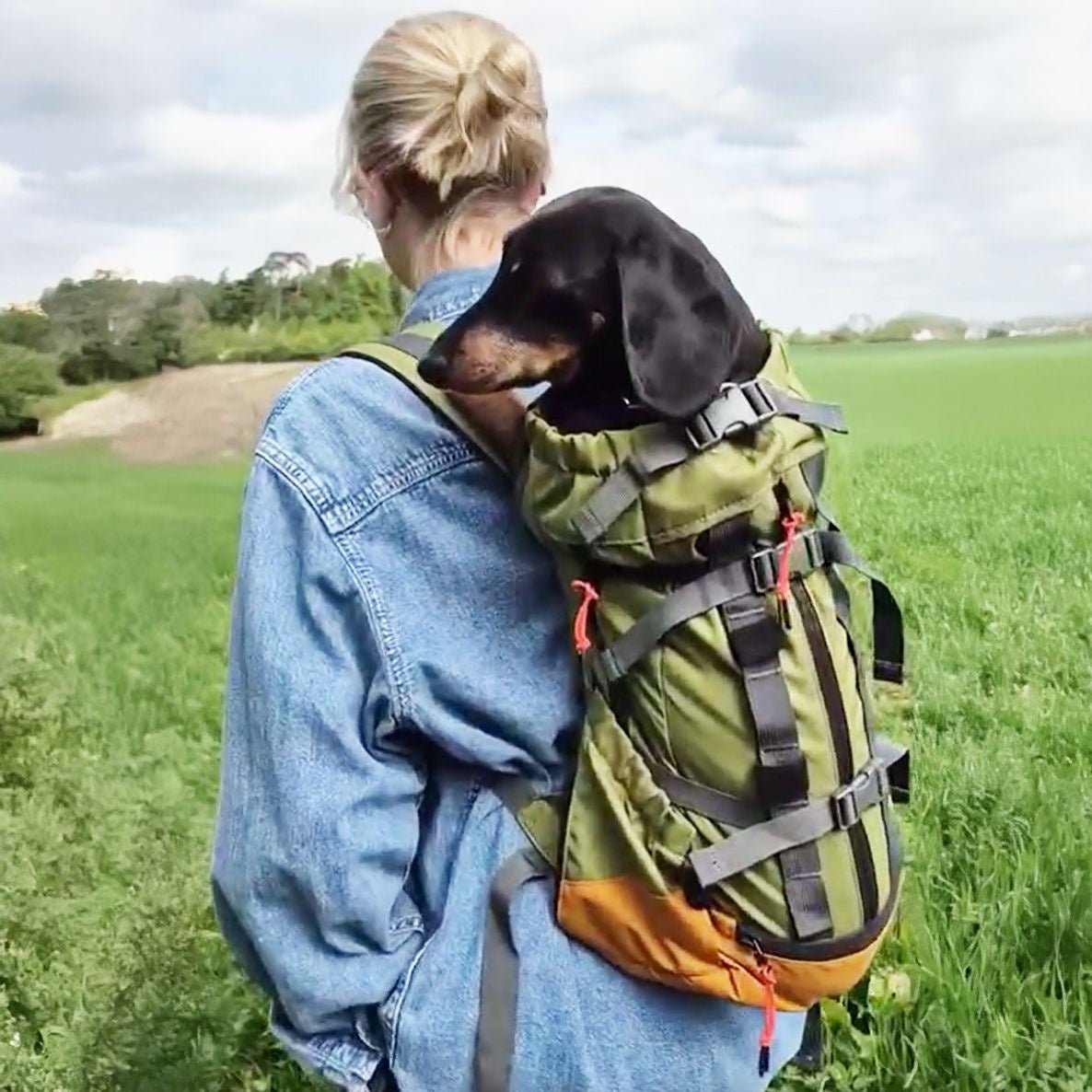 Are dog backpacks worth it?