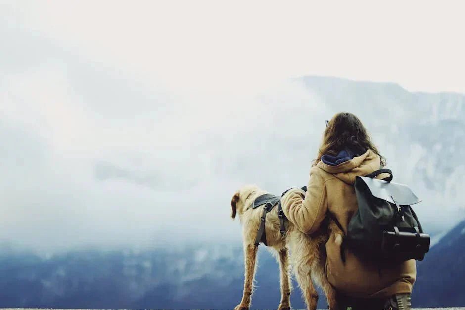Find the Safest Dog Carriers for Your Furry Friends!