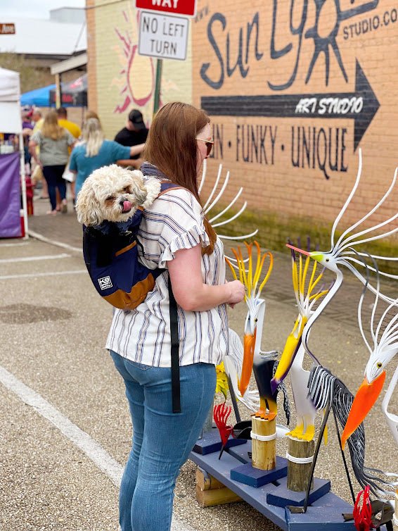 The Ultimate Dog Carrier Pack Guide for Pet Owners