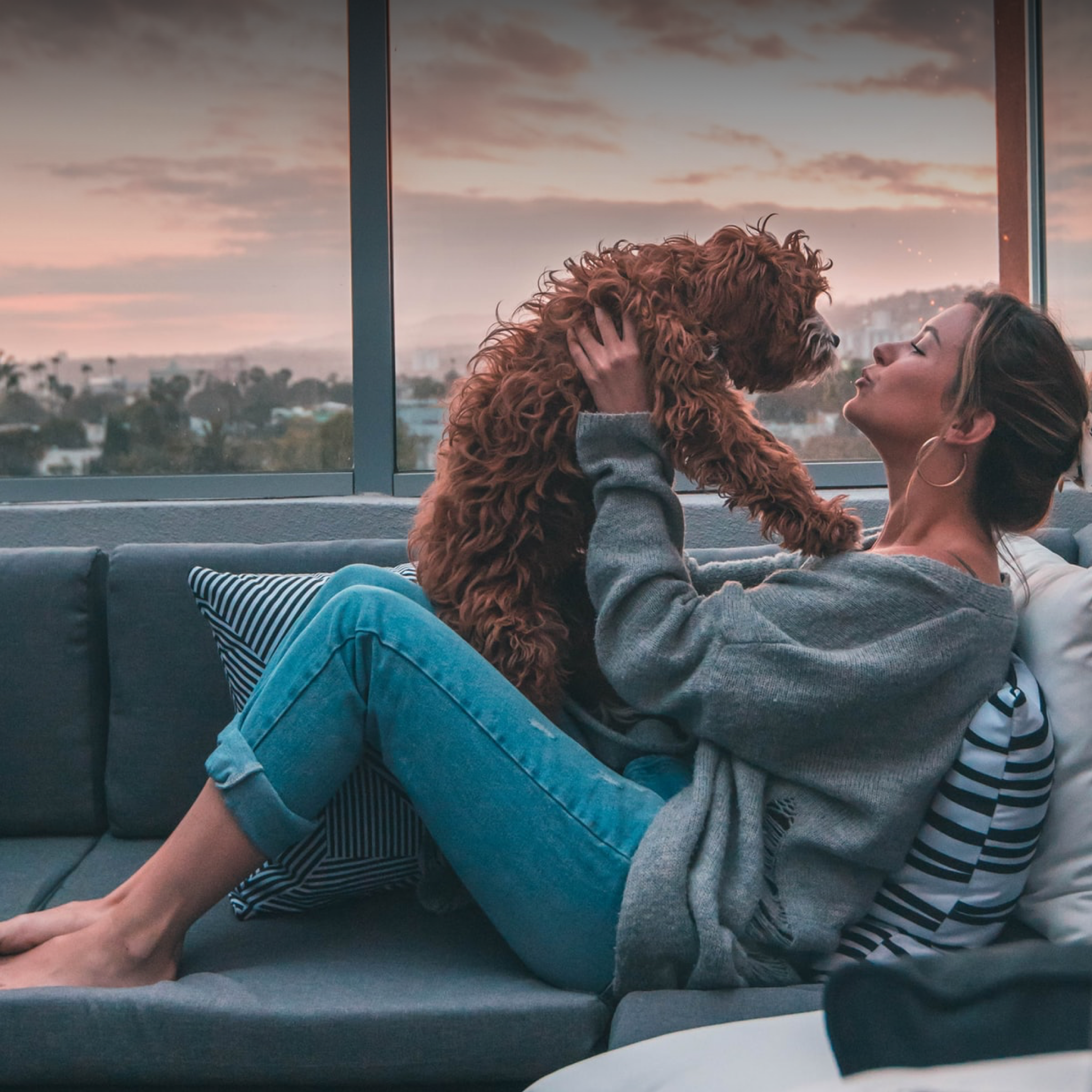 Healthy Pet, Healthy Home