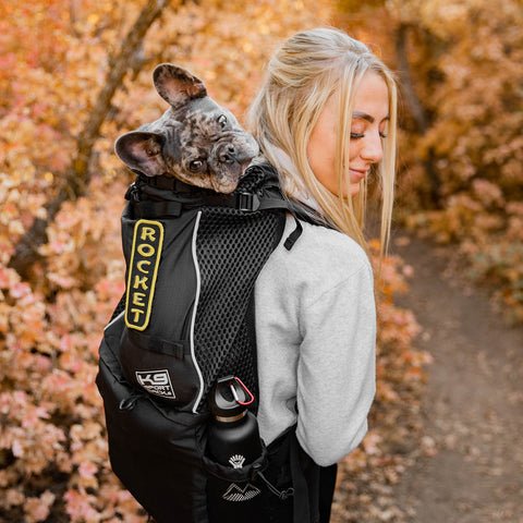 How K9 Sport Sack Can Help You Adventure With Your Dog All Summer Long