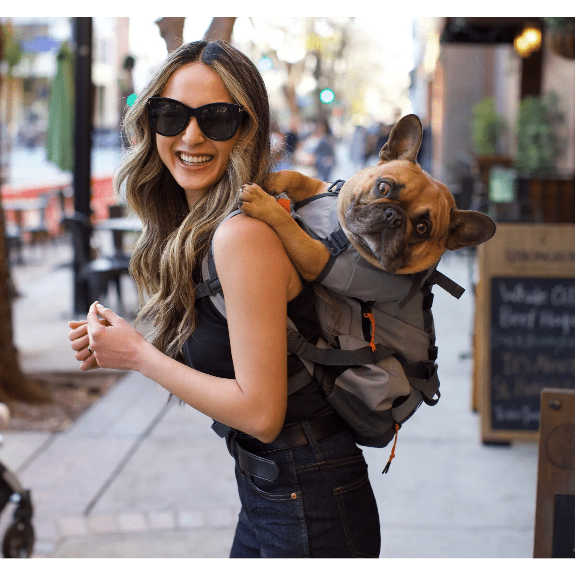 How long can a dog stay in a carrier?