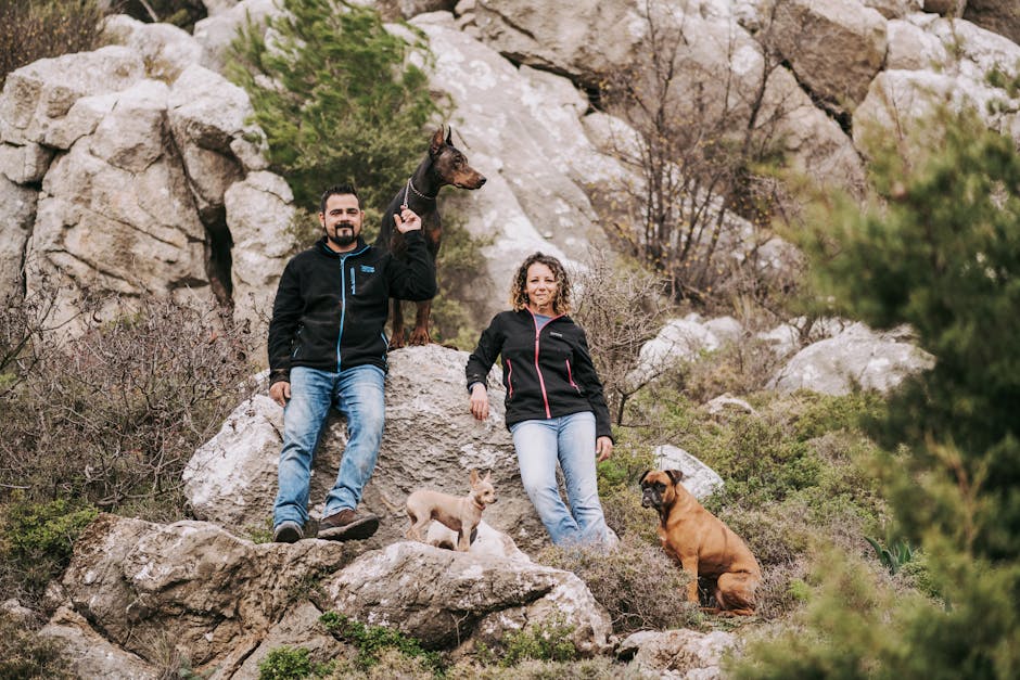 Discover the Best Hands-Free Dog Carriers for You!