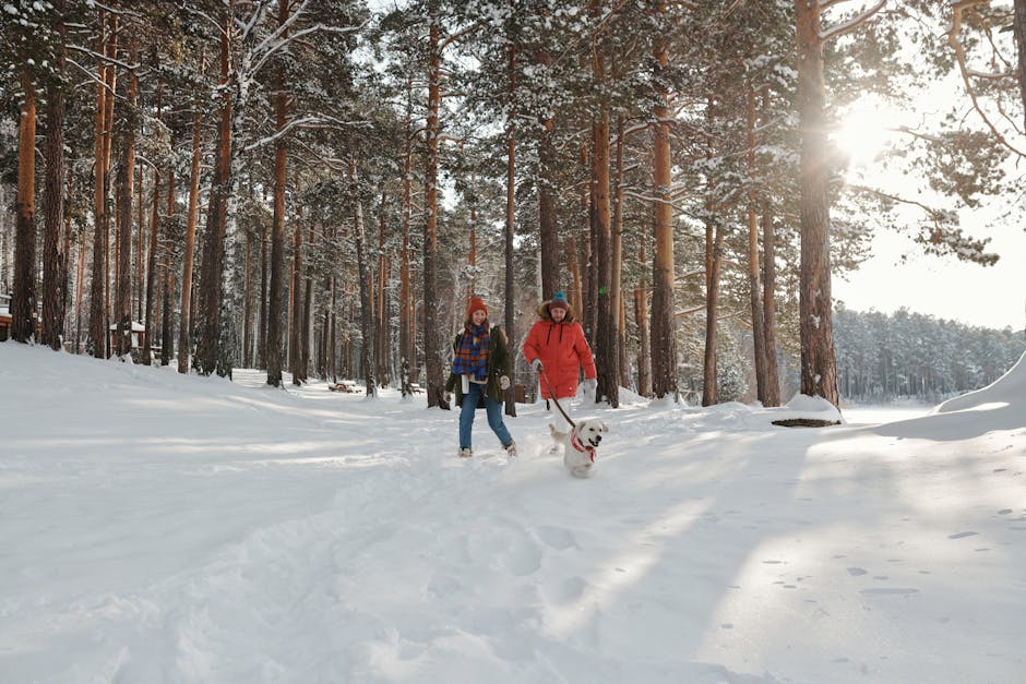 Dog Backpacks: The Best Gear for Your Adventurous Pup!