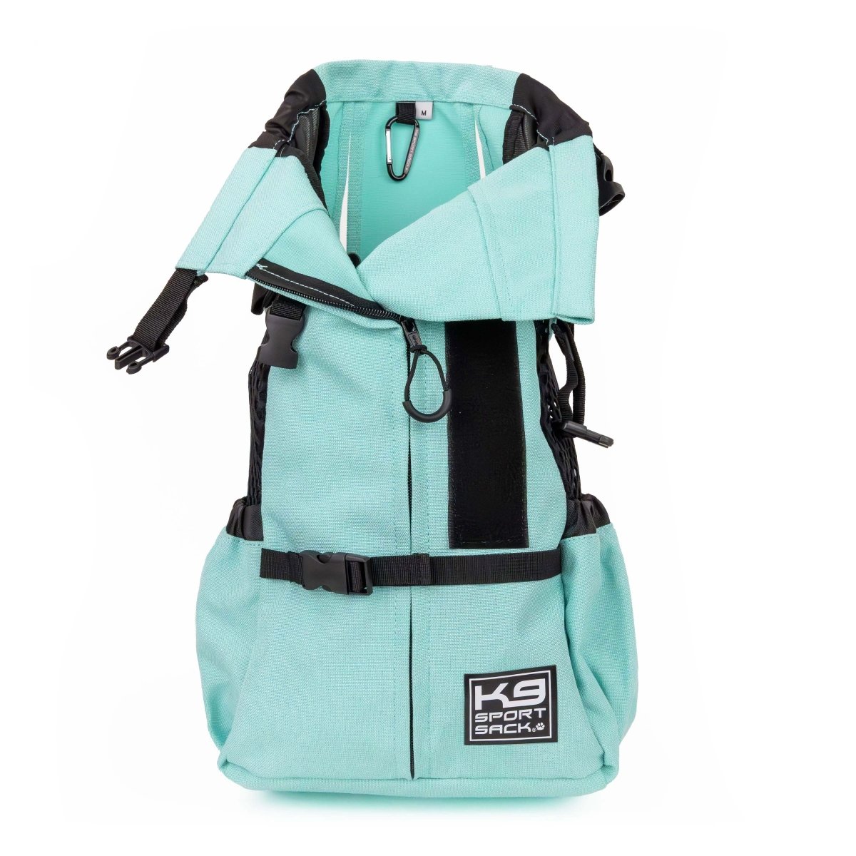 #color_summer-mint