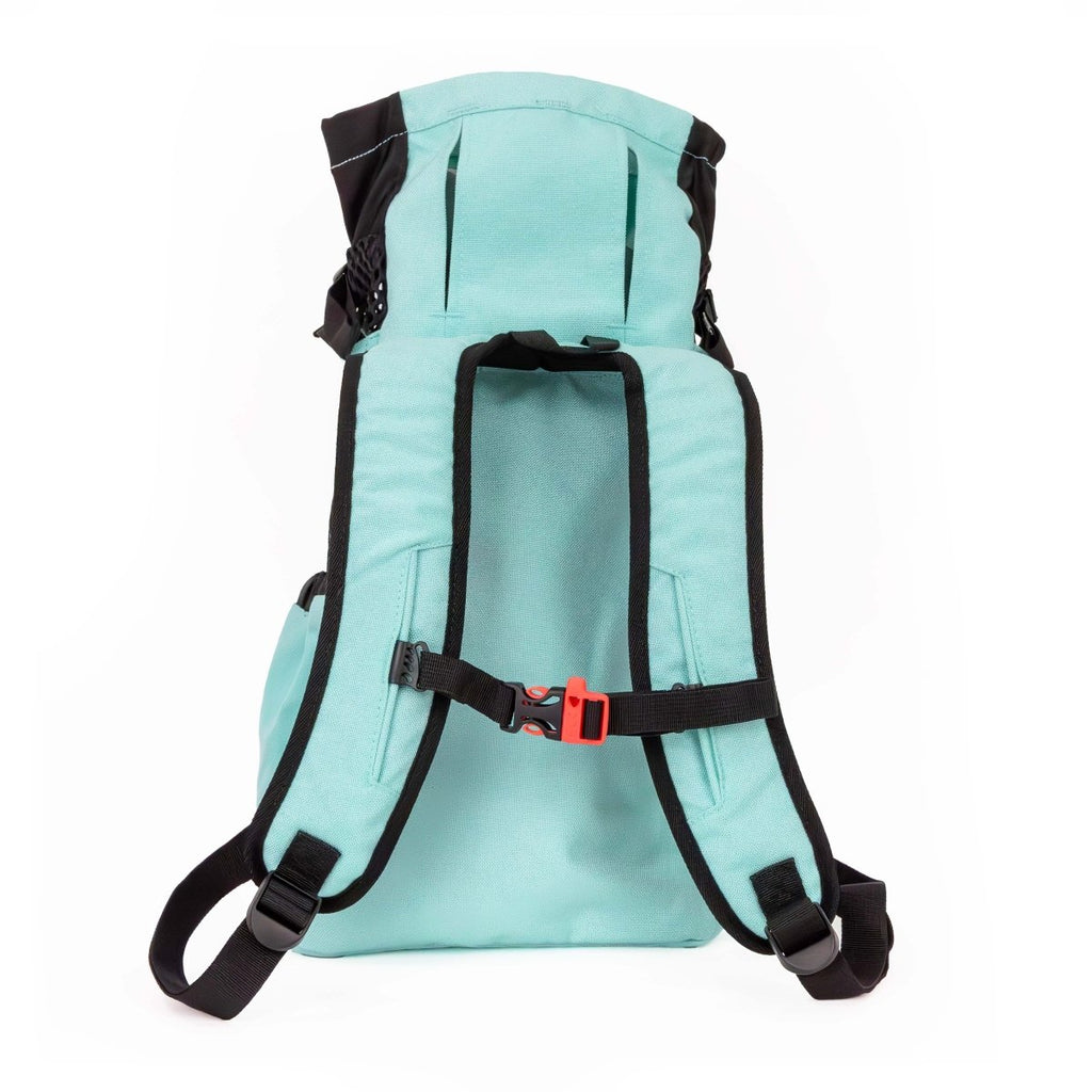 #color_summer-mint