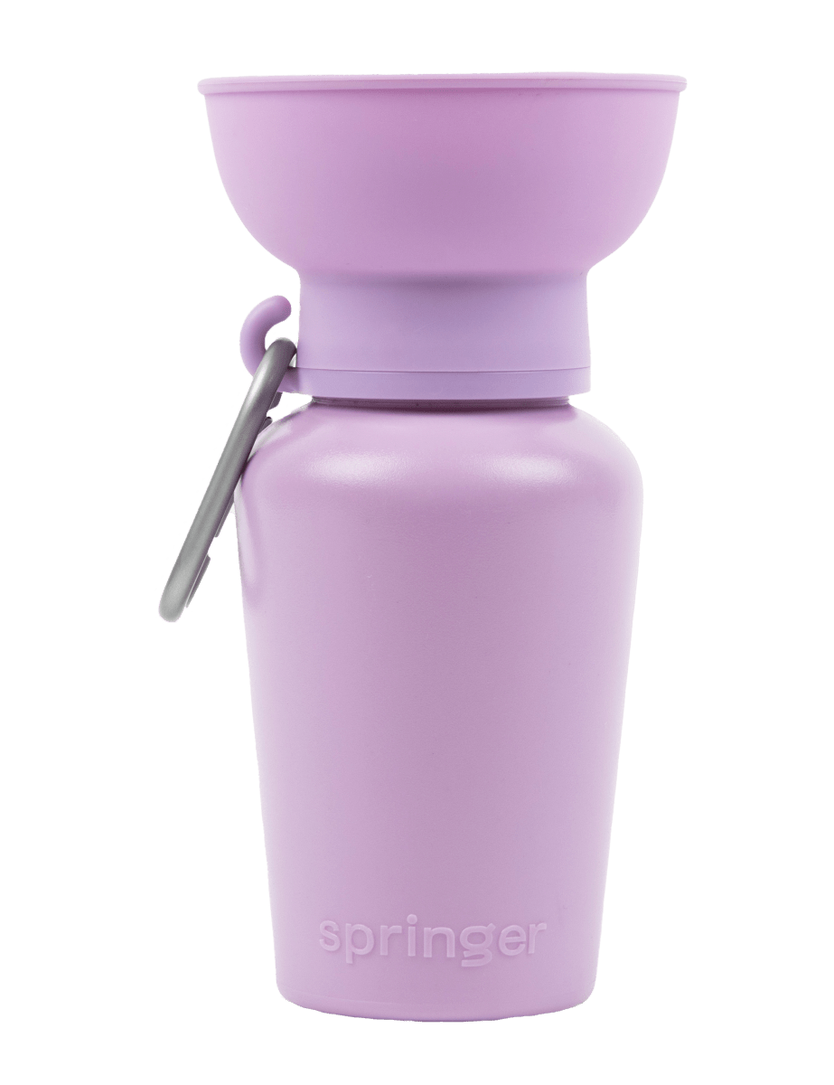 #color_lilac