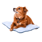 Sleeper | Inflatable Dog Bed with Washable Cover