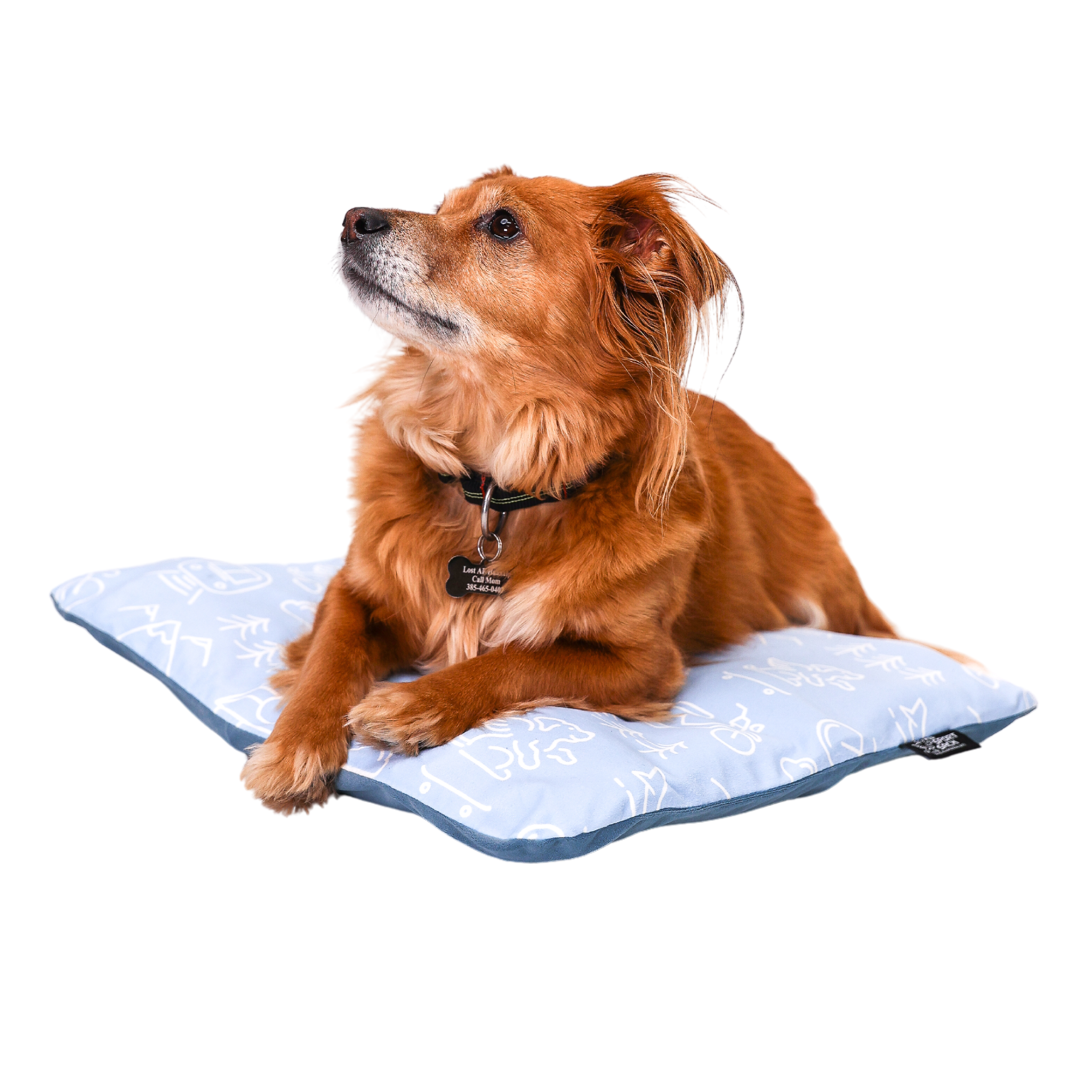 Sleeper | Inflatable Dog Bed with Washable Cover