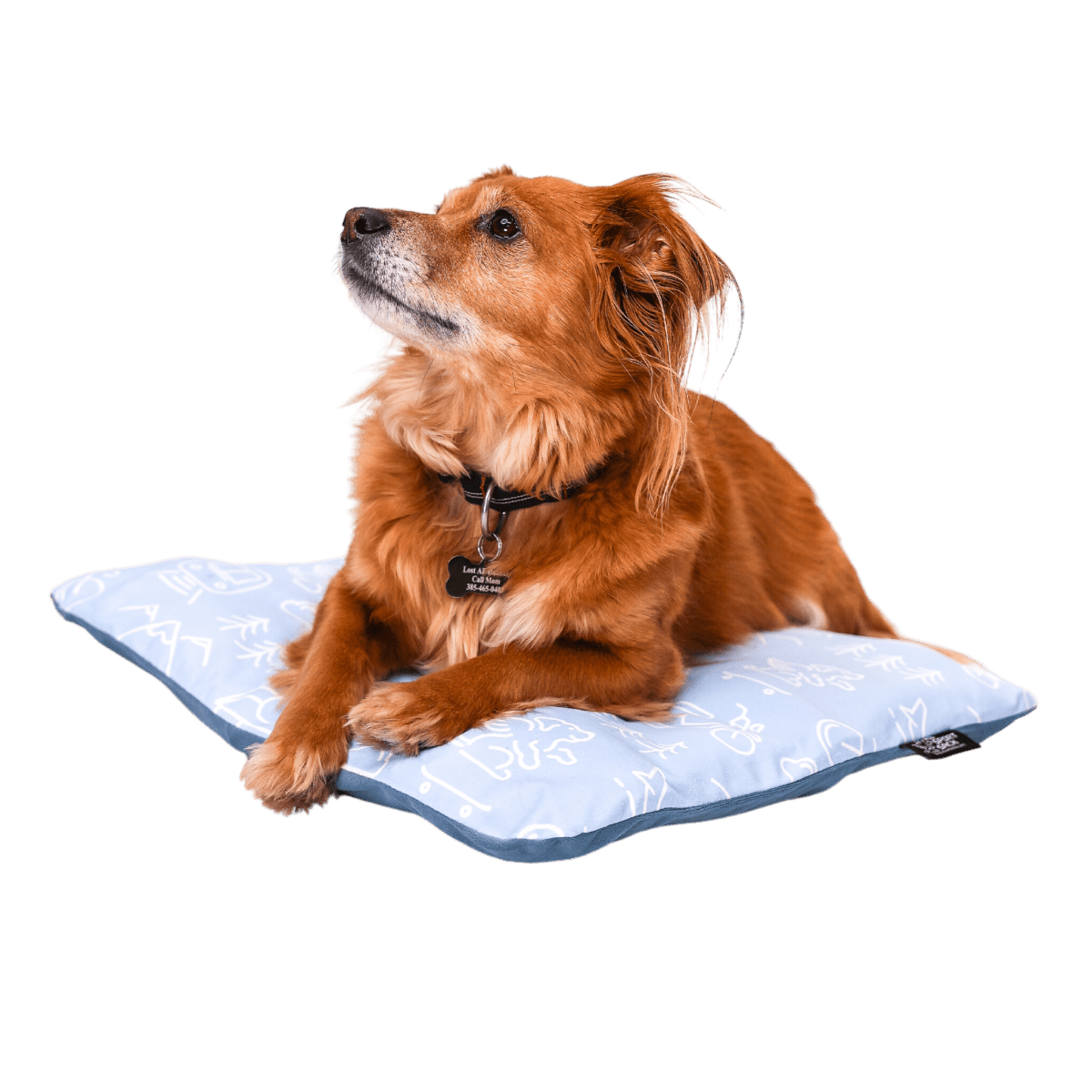 Sleeper | Inflatable Dog Bed with Washable Cover