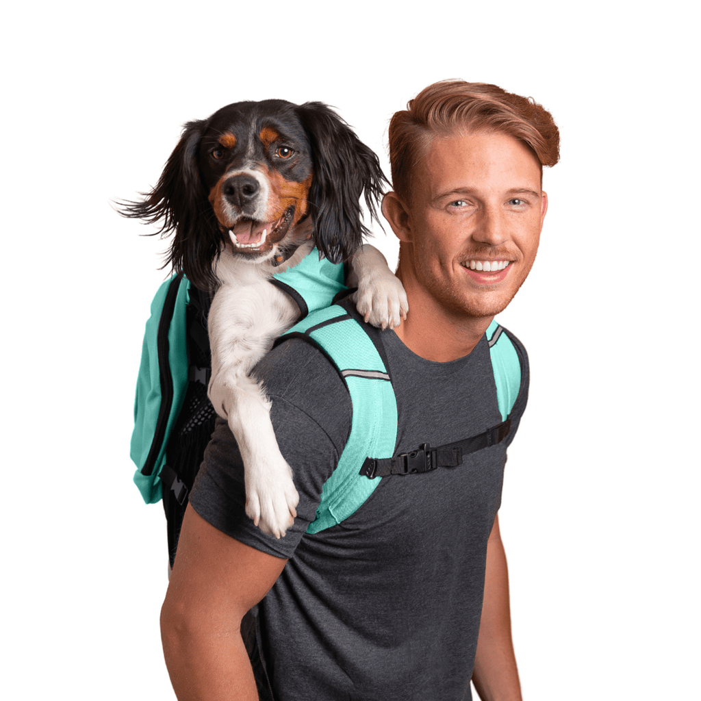 Plus 2 dog carrier with removable storage in Summer Mint colorway