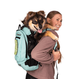 Klearance Plus 2 | Dog Carrier with Removable Storage