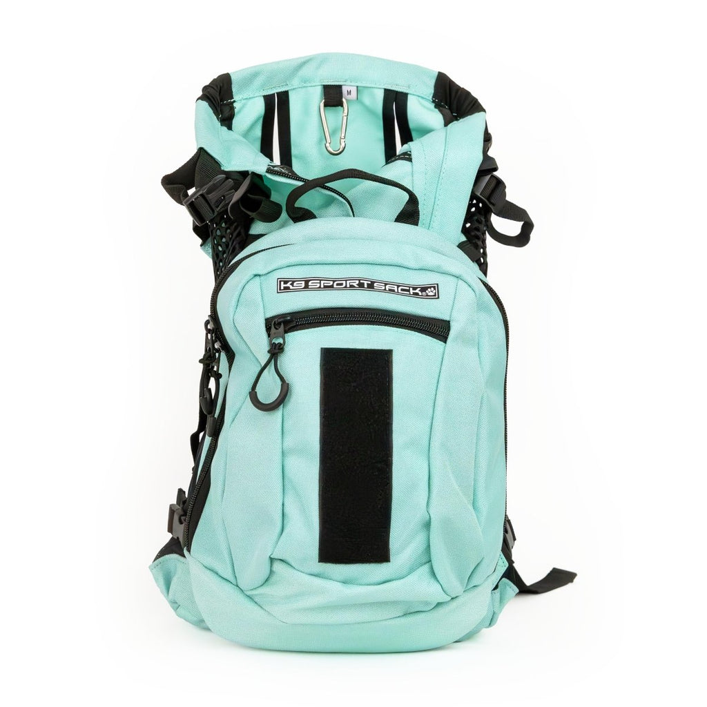 #color_summer-mint