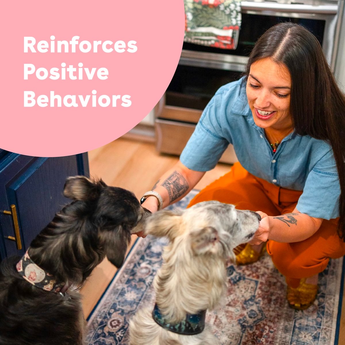 Woman interacting with two dogs on a rug in a home setting, with text 'Reinforces Positive Behaviors' on a pink background.