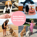 Collage of images showing dogs and their interactions with humans, with text 'Build a Better Relationship with Your Pup'.