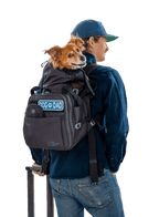 Sky Pack | Convertible Dog Backpack & Pet Carrier