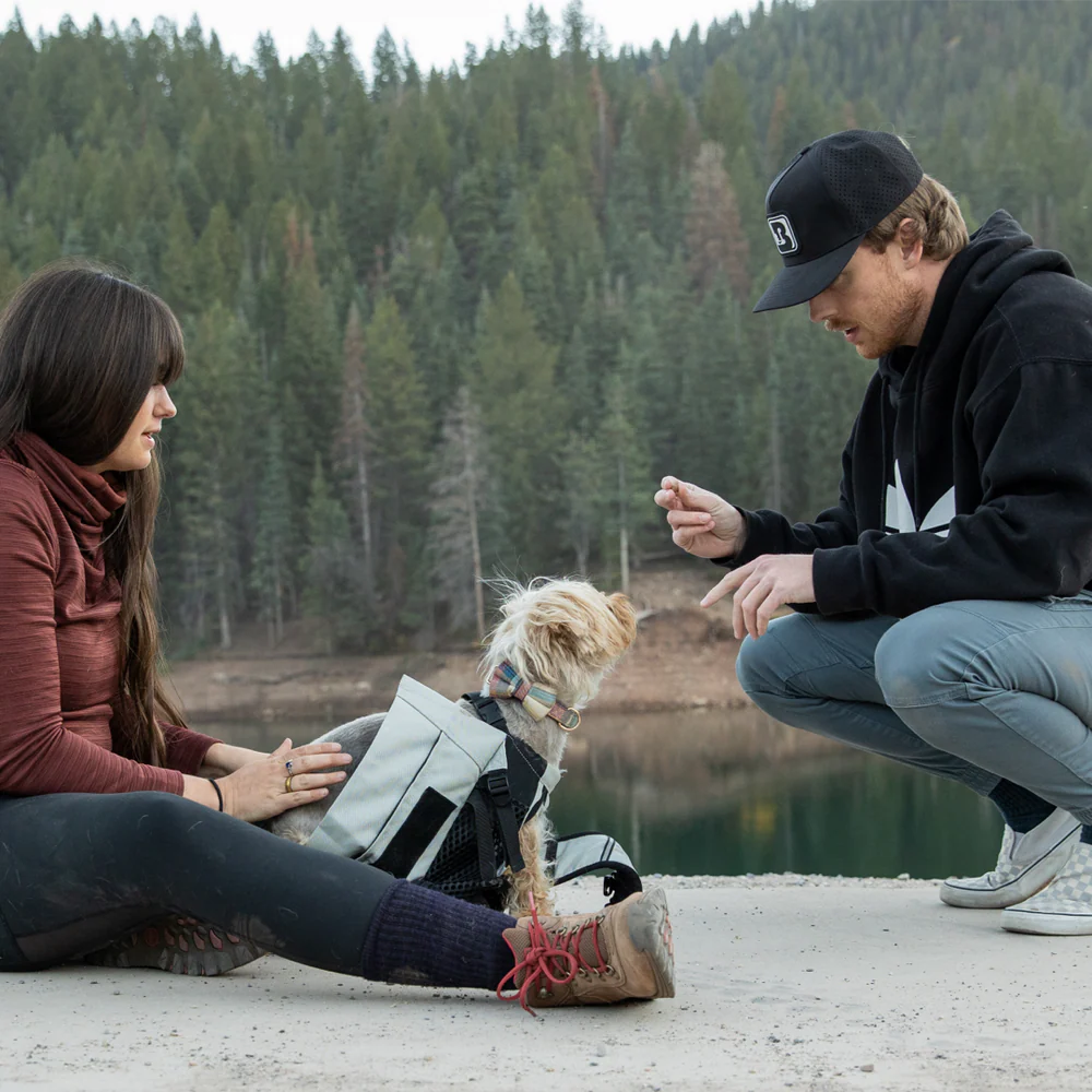 Step 2 of using a K9 Sport Sack: place the dog's front paws through the leg openings, clip the carabiner to the collar or harness, and secure the collar enclosure