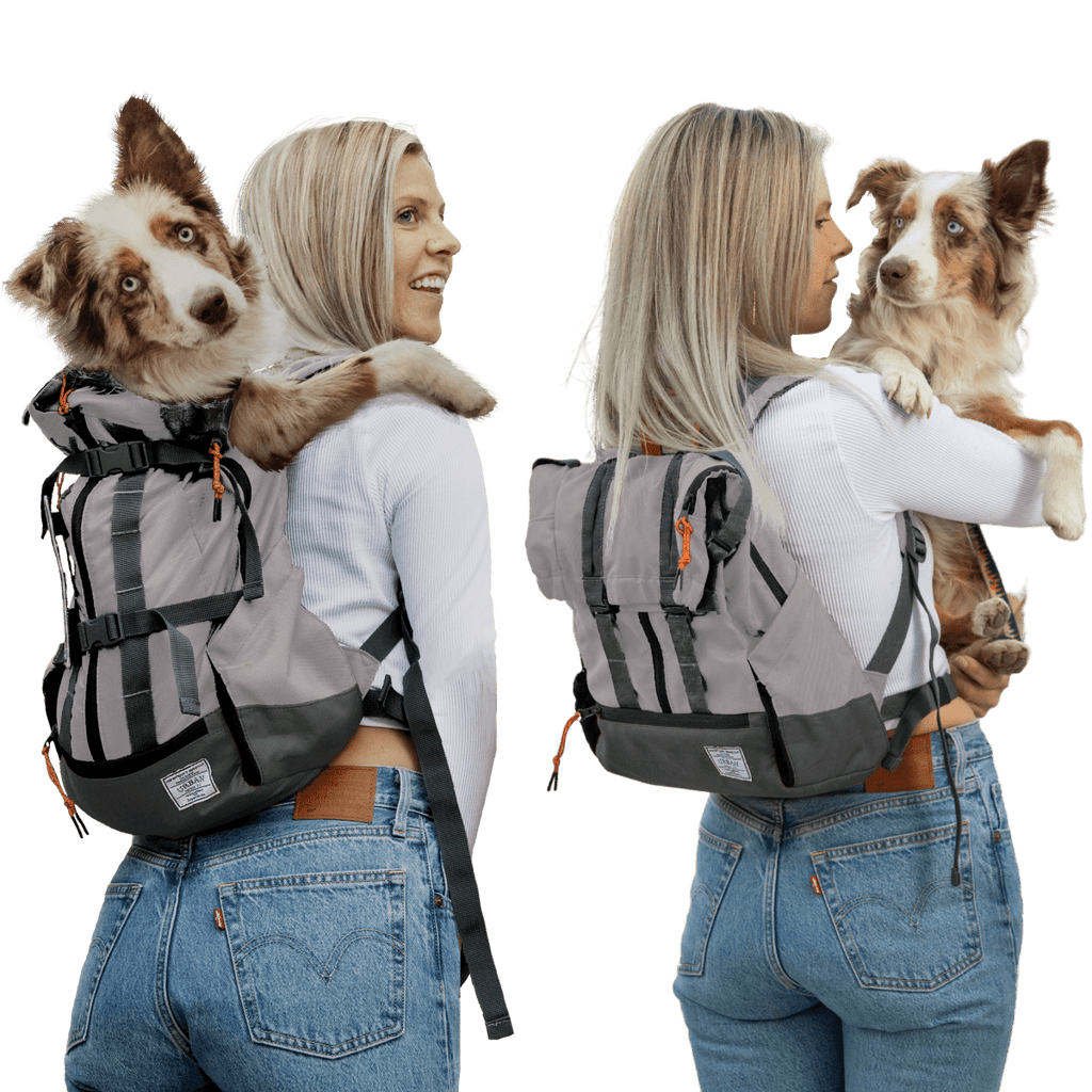 Urban 3 dual-use dog carrier and traditional backpack in Concrete grey colorway