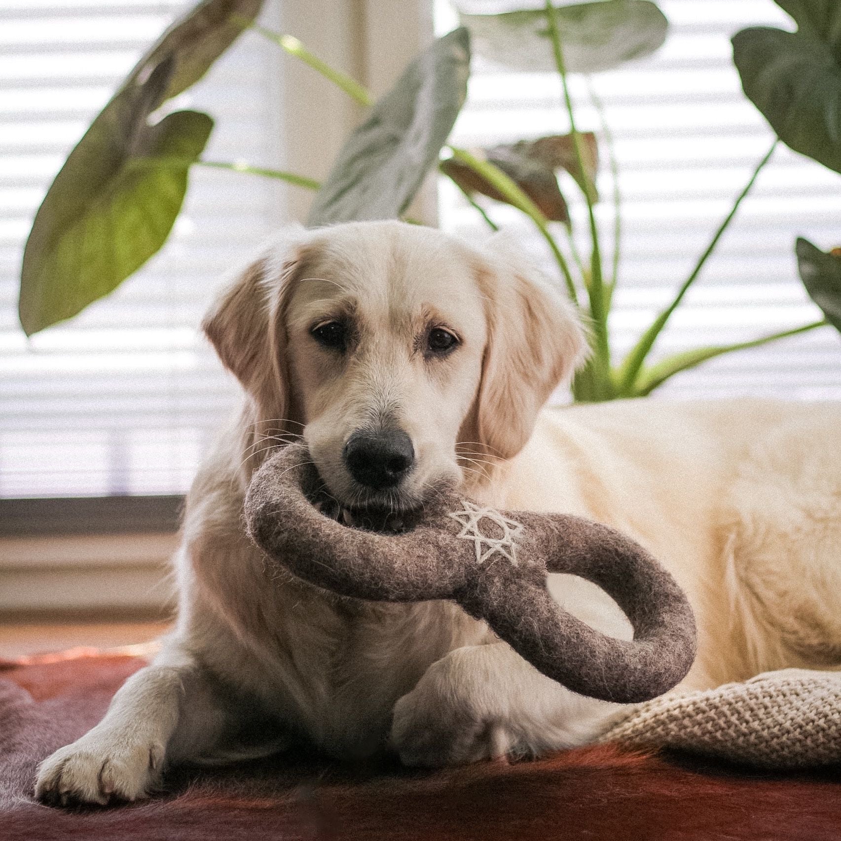 Wooliie 100% Wool Dog Toys