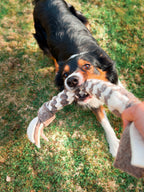 Wooliie 100% Wool Dog Toys