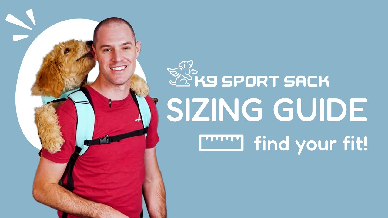K9 Sizing Guide banner
