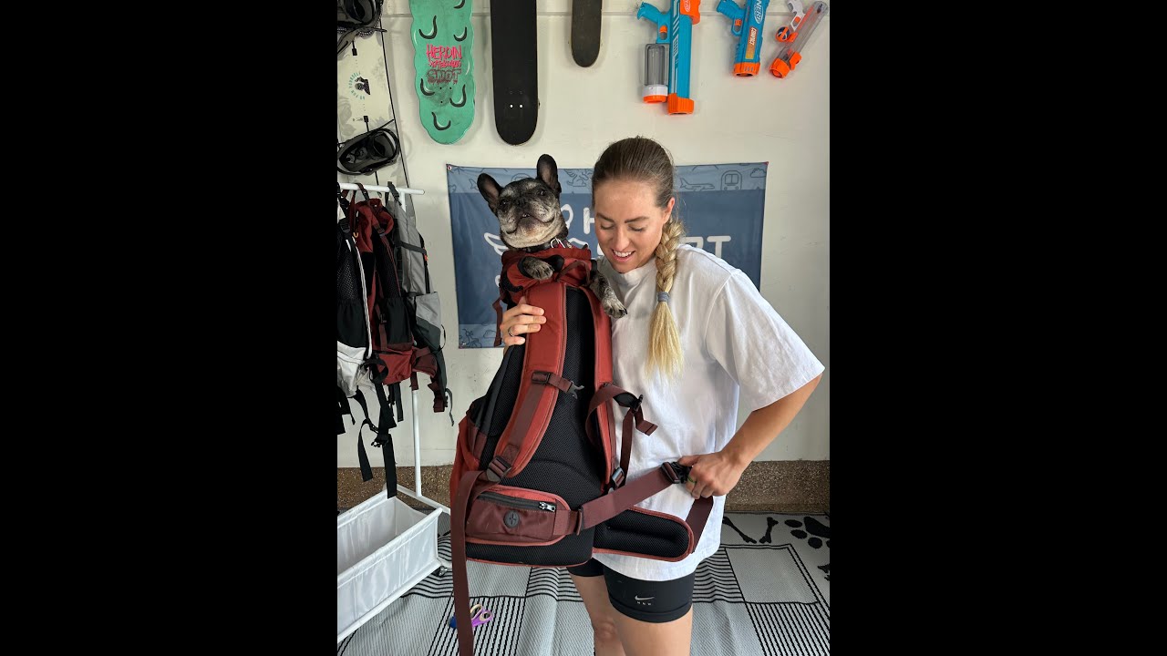 Video thumbnail for a K9 Sport Sack dog-sizing tutorial
