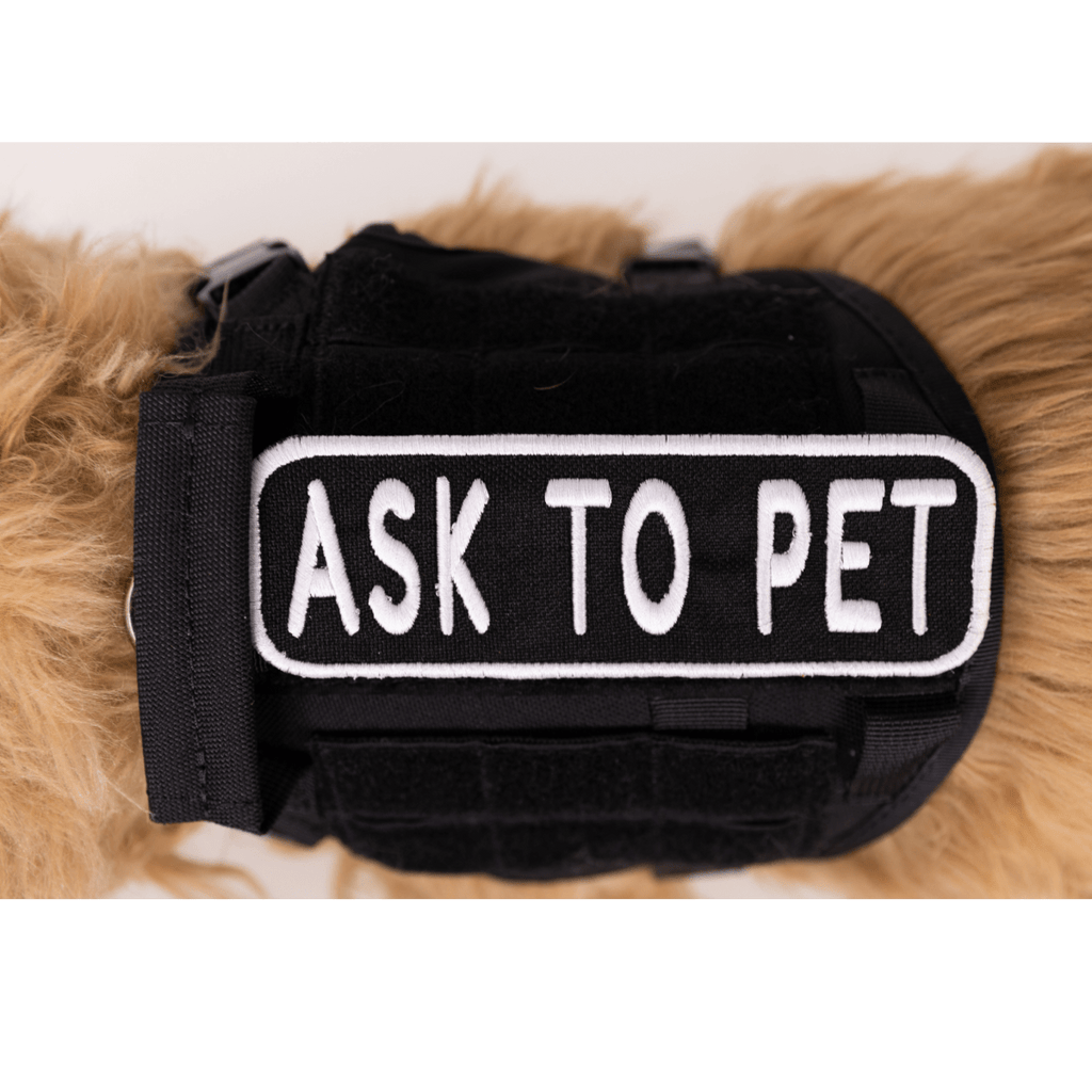 Ask to Pet 2x6 Patch