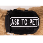 Ask to Pet 2x6 Patch