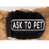 Ask to Pet 2x6 Patch