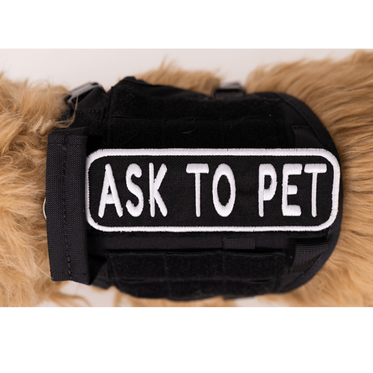 Ask to Pet 2x6 Patch
