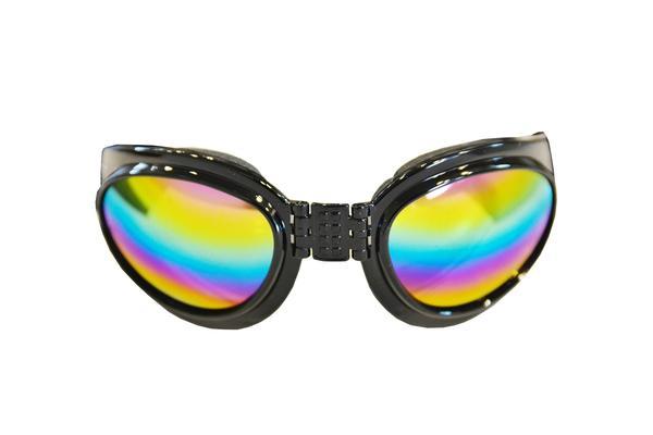 Black Frame Dog Goggles