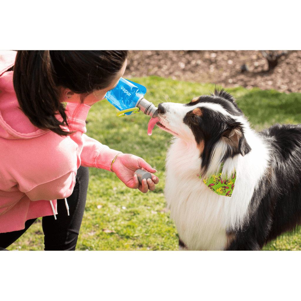 Vapur® EZ Lick™ water Bottle