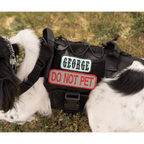 Custom K9 Mini Patch