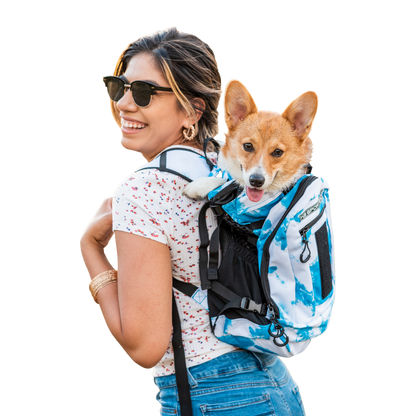 Klearance Plus 2 | Dog Carrier with Removable Storage