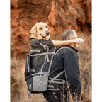  Klearance Rover 2 Golden Retriever