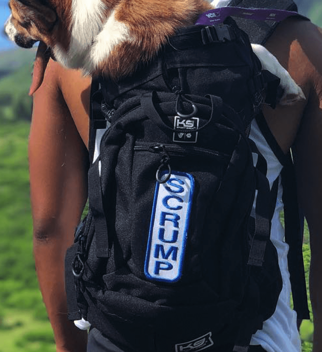 bag patches 