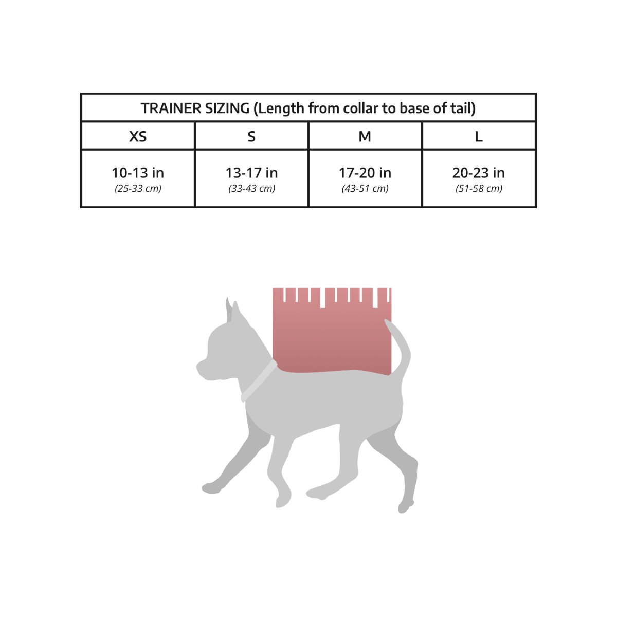 Klearance Trainer Sizing